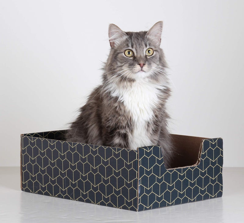 BrightSpot Solutions Purrfect Cat Box Modern Cat Box Lounger with Peek-a-Boo Cutout | Premium Corrugated Cardboard Cat Bed for Sleeping and Relaxation | Interactive Board Box for Indoor Kittens and Small Pets, Blue - Image 3